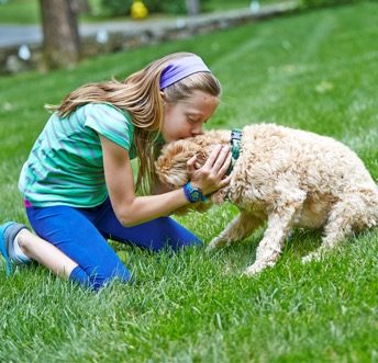 Outdoor Hidden Dog Fences